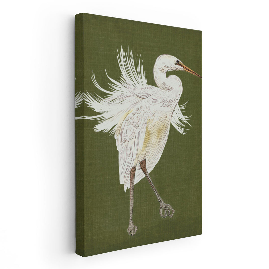 Heron Plumage I - Canvas Print Wall Art