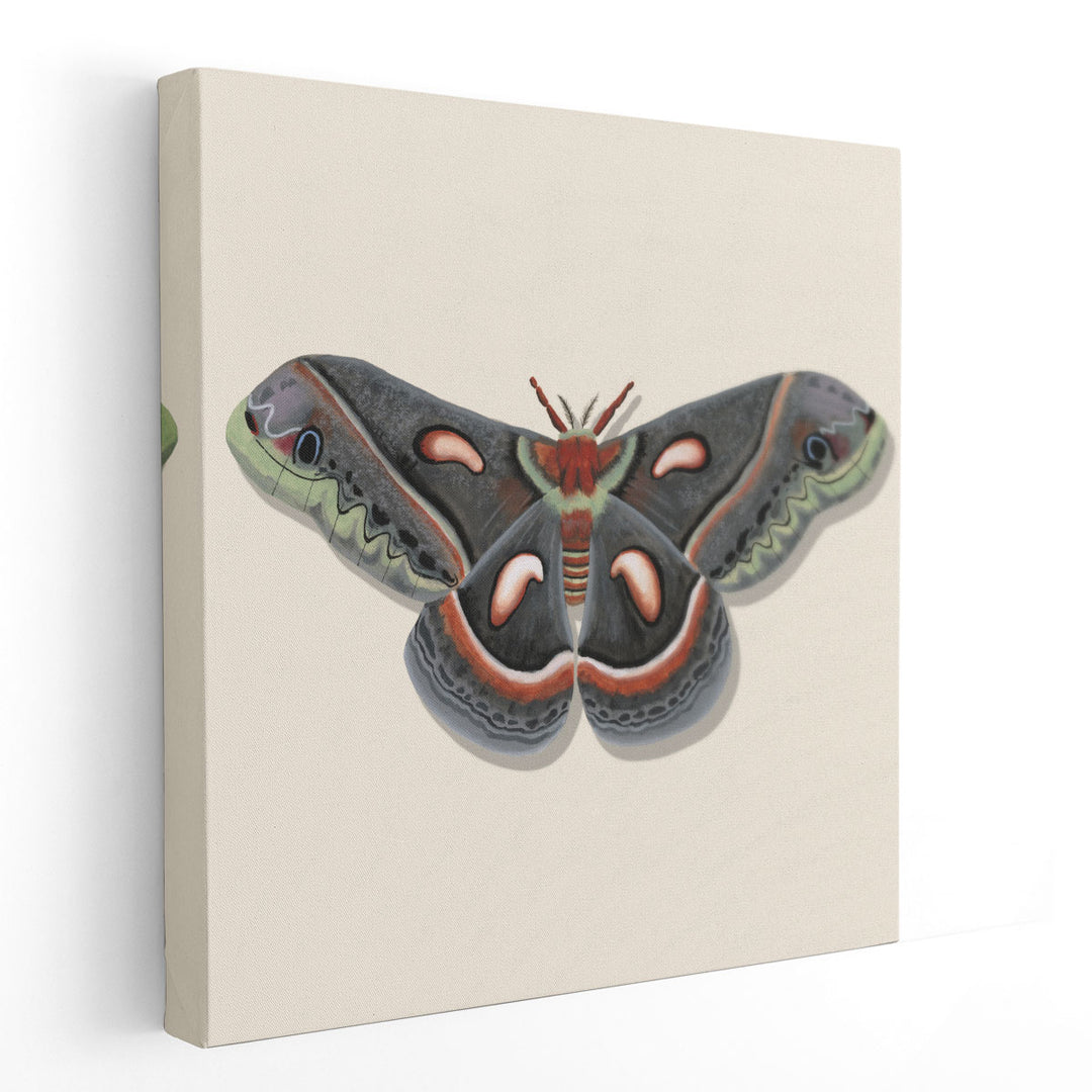 Watercolor Moths III - Canvas Print Wall Art