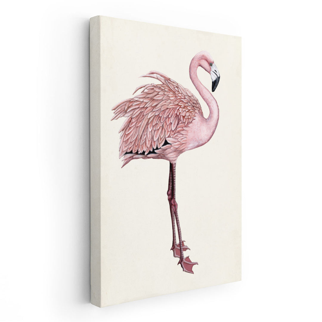 Striking Flamingo I - Canvas Print Wall Art