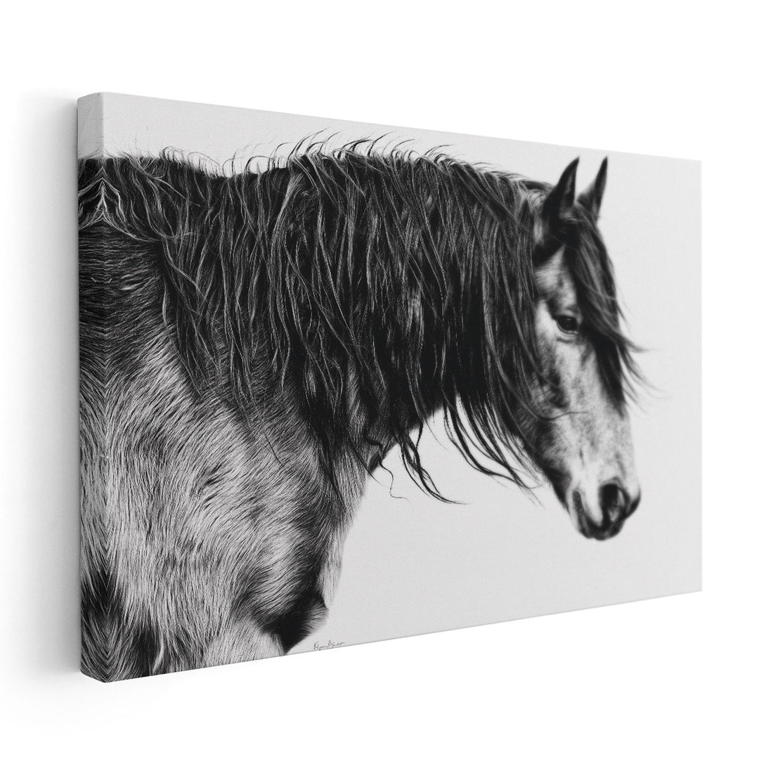 Black and White Horse Portrait III - Canvas Print Wall Art