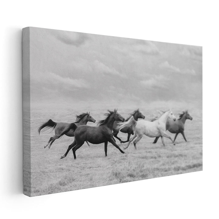 Horse Run I - Canvas Print Wall Art