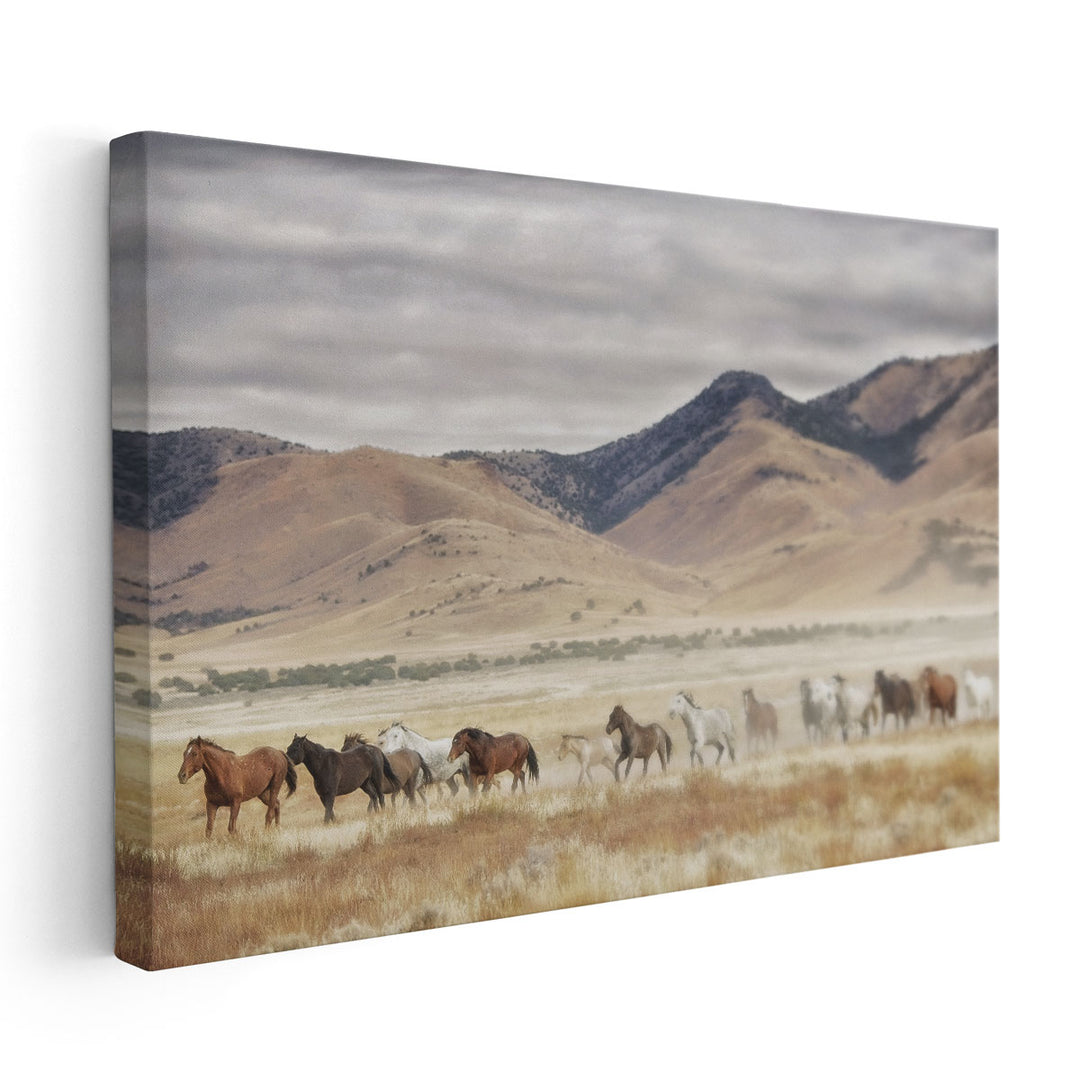 Horse Run II - Canvas Print Wall Art