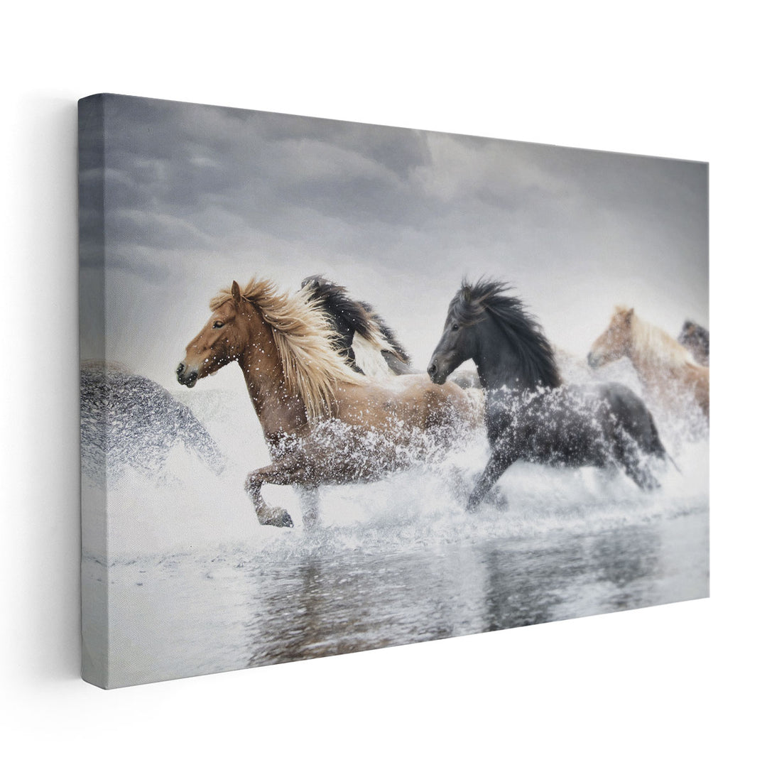 Horse Run V - Canvas Print Wall Art