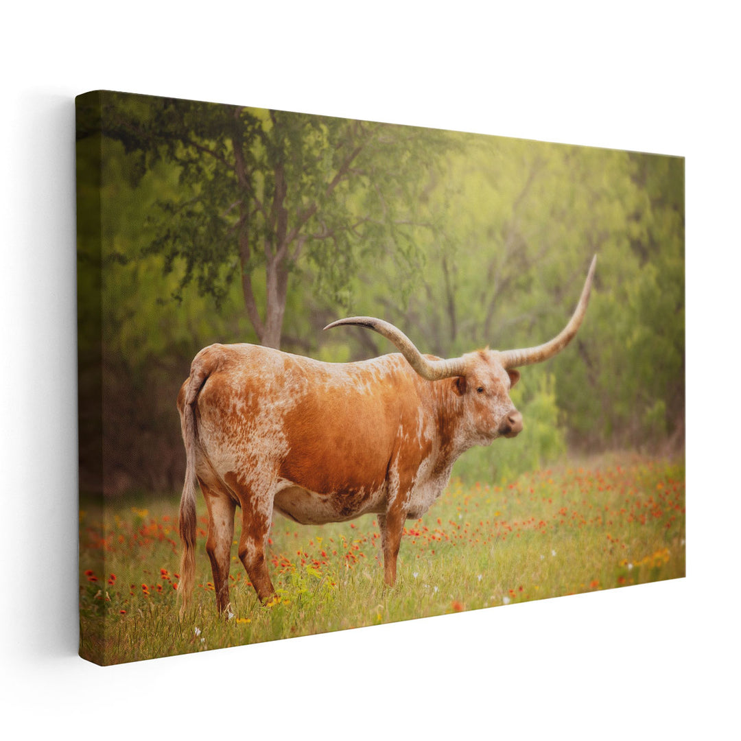 Sunlit Midwest I - Canvas Print Wall Art