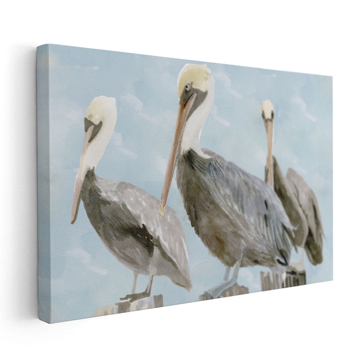 Soft Brown Pelican III - Canvas Print Wall Art