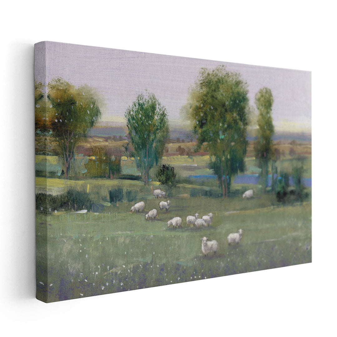 Field Of Sheep I - Canvas Print Wall Art