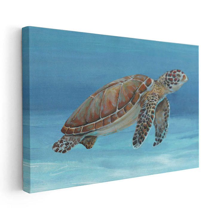 Ocean Sea Turtle I - Canvas Print Wall Art