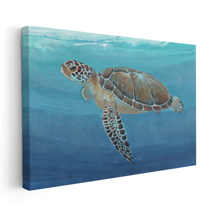 Ocean Sea Turtle II - Canvas Print Wall Art