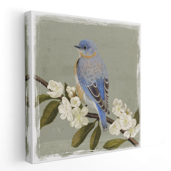 Bluebird Branch II- Canvas Print Wall Art