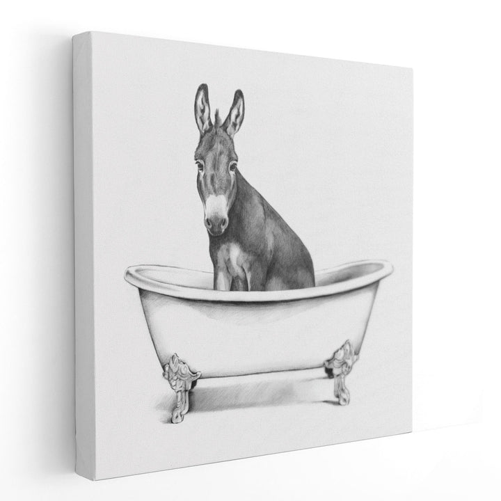 Clawfoot Critter IV - Canvas Print Wall Art