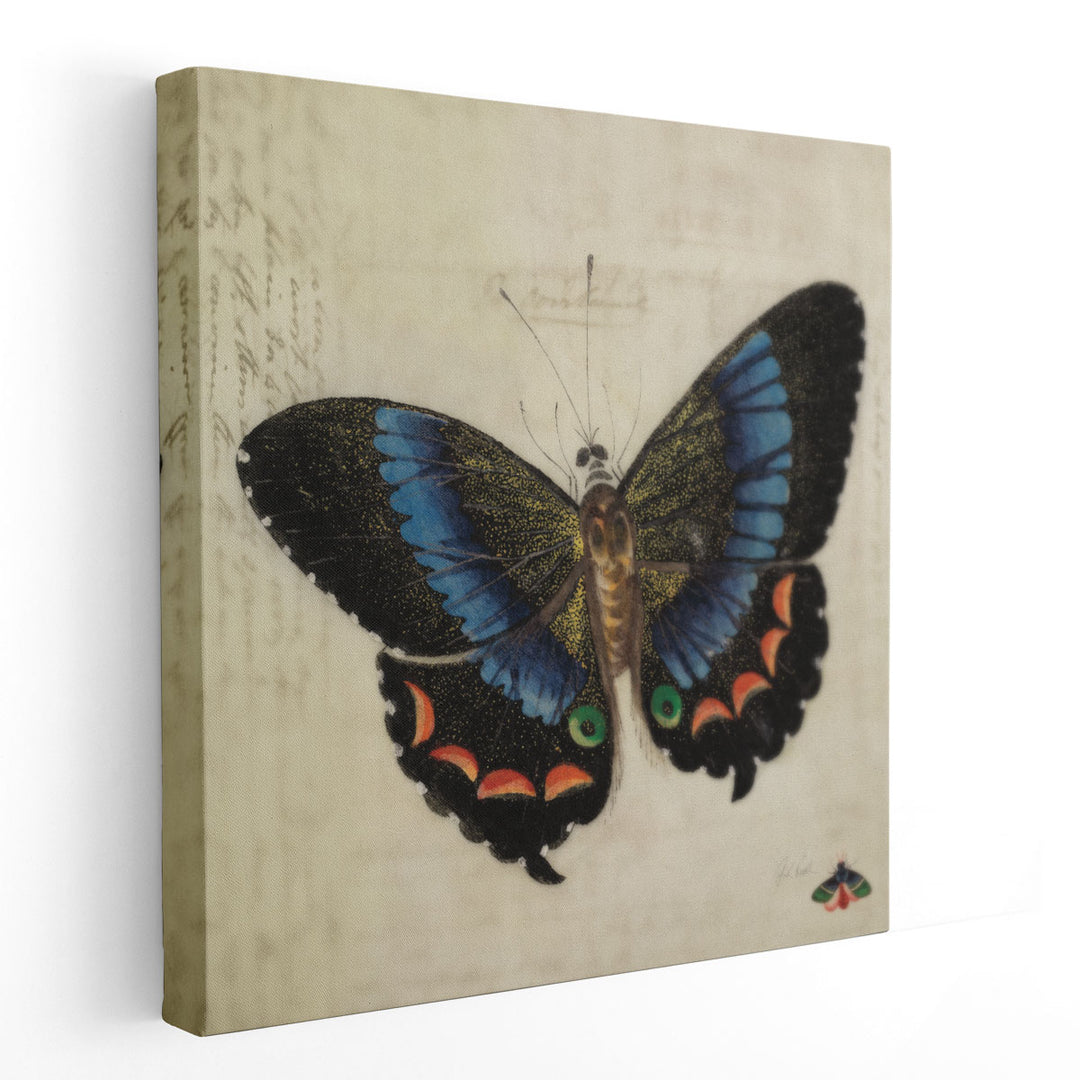 Vintage Blue Butterfly - Canvas Print Wall Art