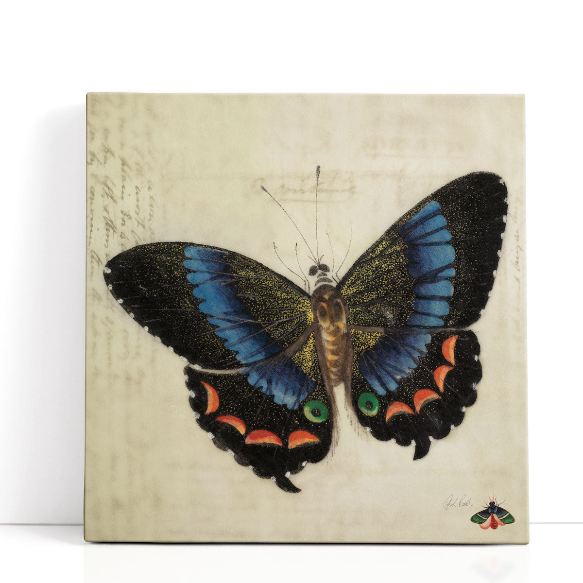 Retro Insect Prints | Hand-Painted Wing Motif – Framed Flair