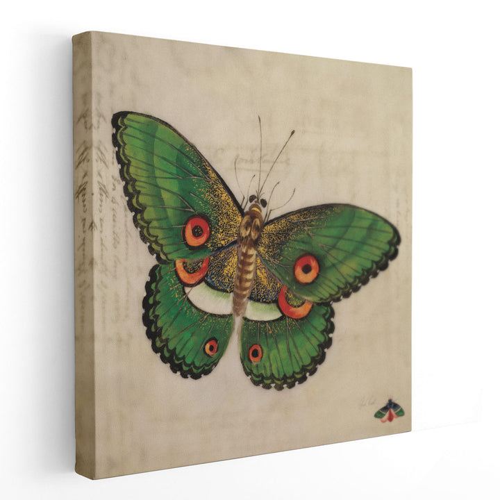 Vintage Green Butterfly - Canvas Print Wall Art