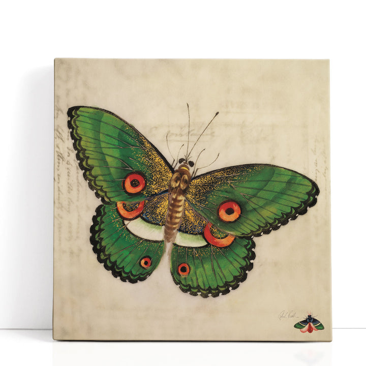 Vintage Green Butterfly - Canvas Print Wall Art