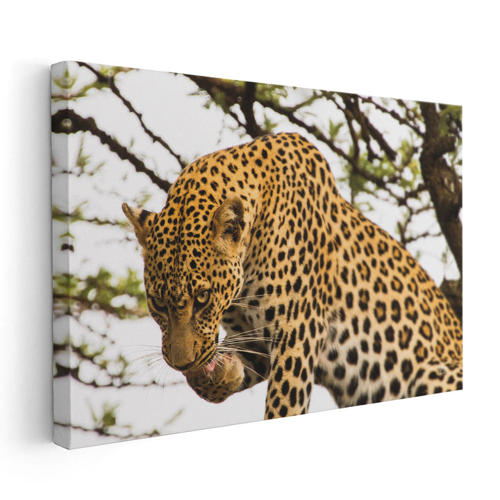 After Lunch - Canvas Print Wall Art