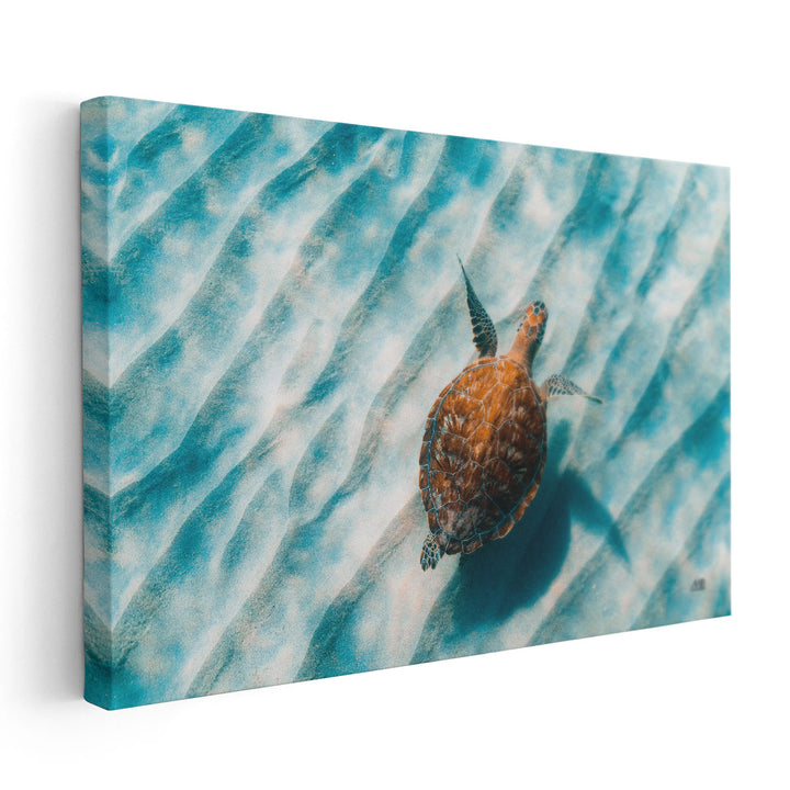 Sandbar Sea Turtle II - Canvas Print Wall Art