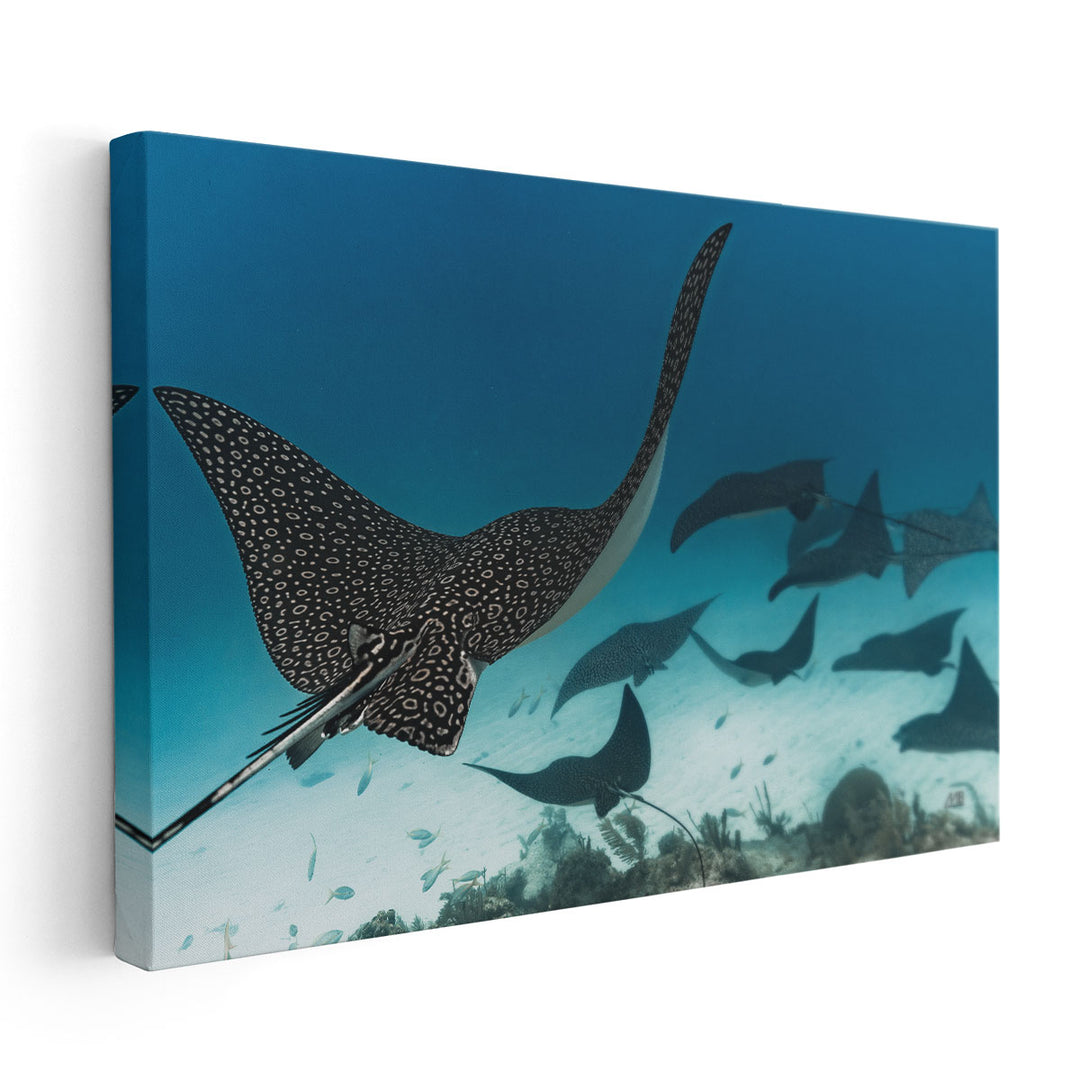 Ray Day I - Canvas Print Wall Art