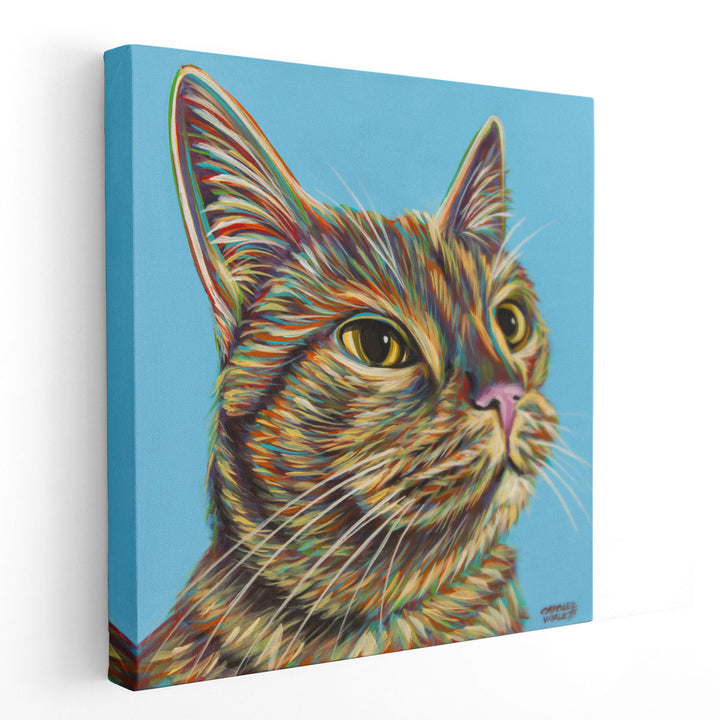 Rainbow Cat - Canvas Print Wall Art