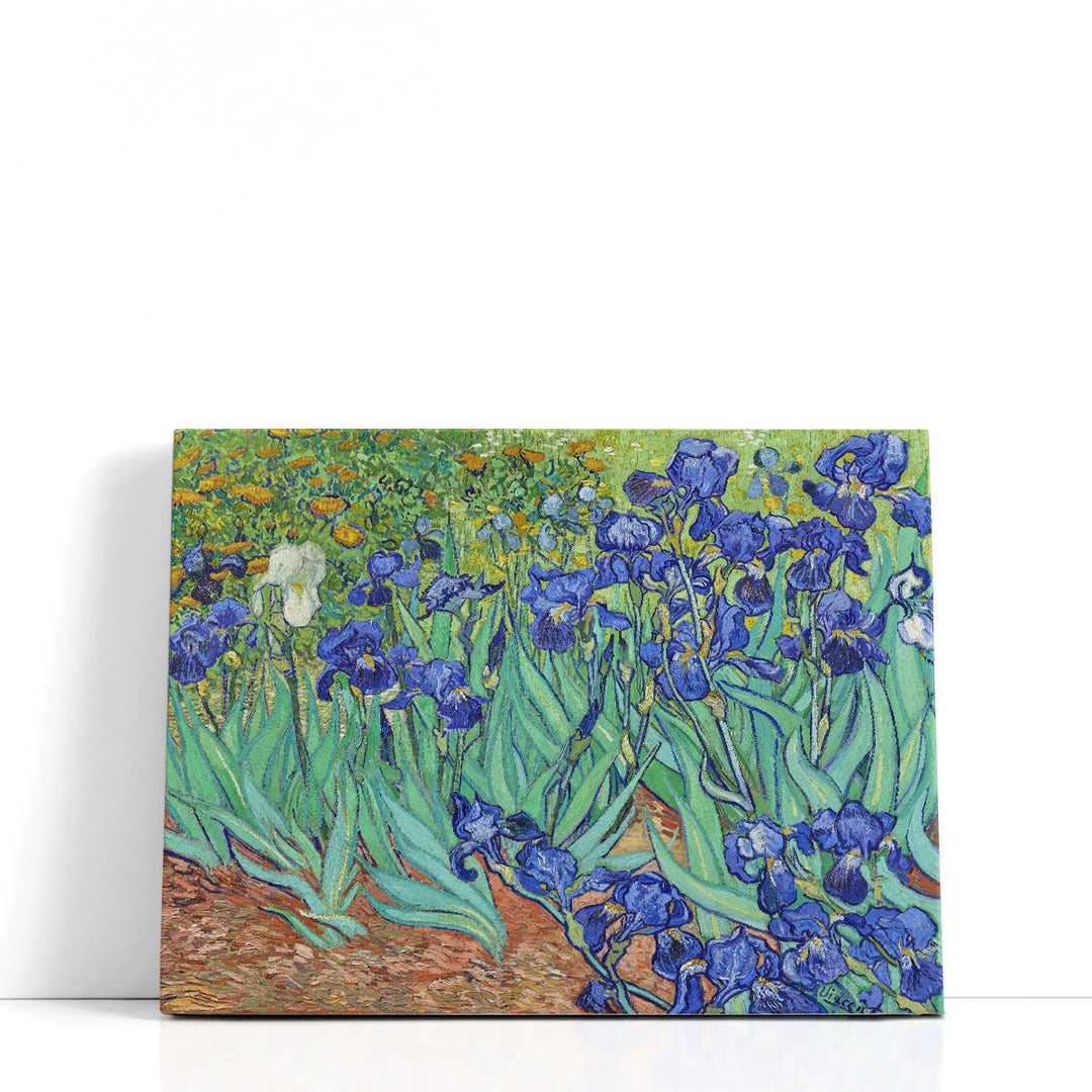 Irises, 1889 - Canvas Print Wall Art