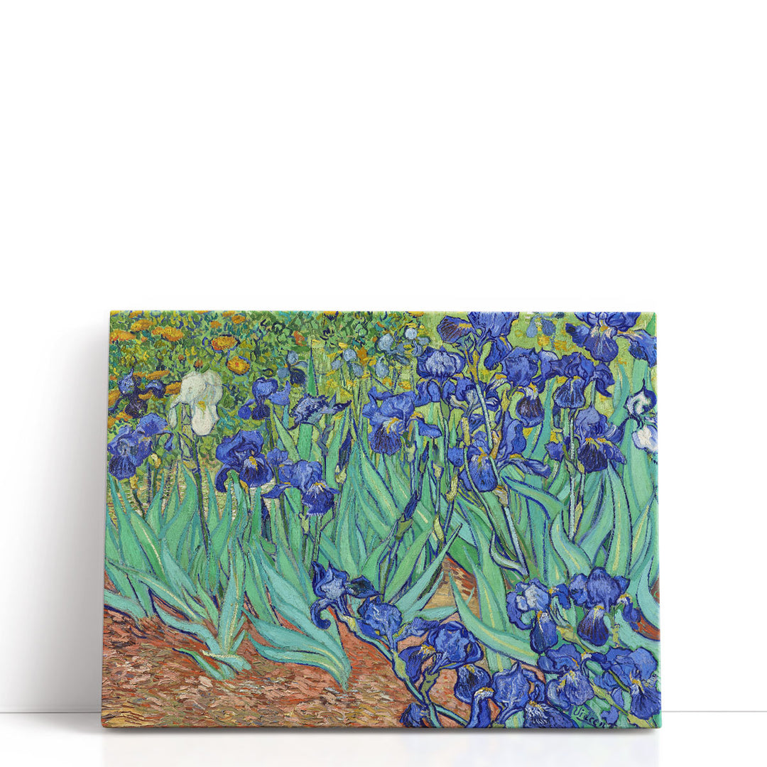 Irises, 1889 - Canvas Print Wall Art