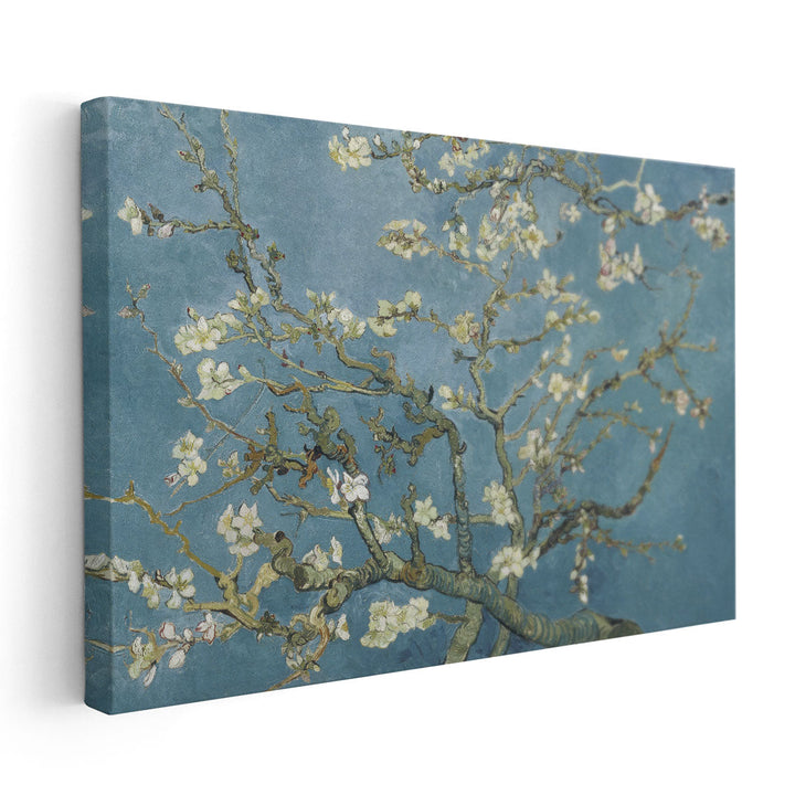 Almond Blossom, 1890 - Canvas Print Wall Art