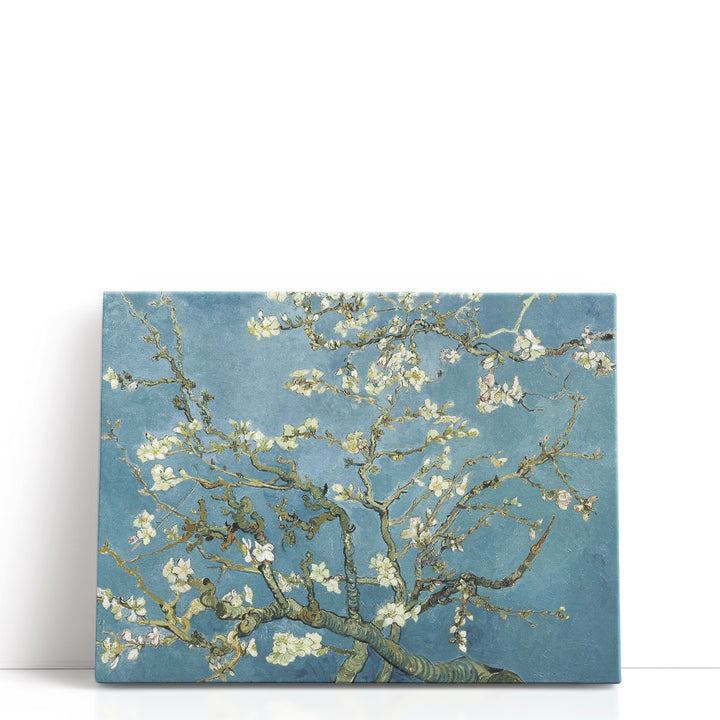Almond Blossom, 1890 - Canvas Print Wall Art