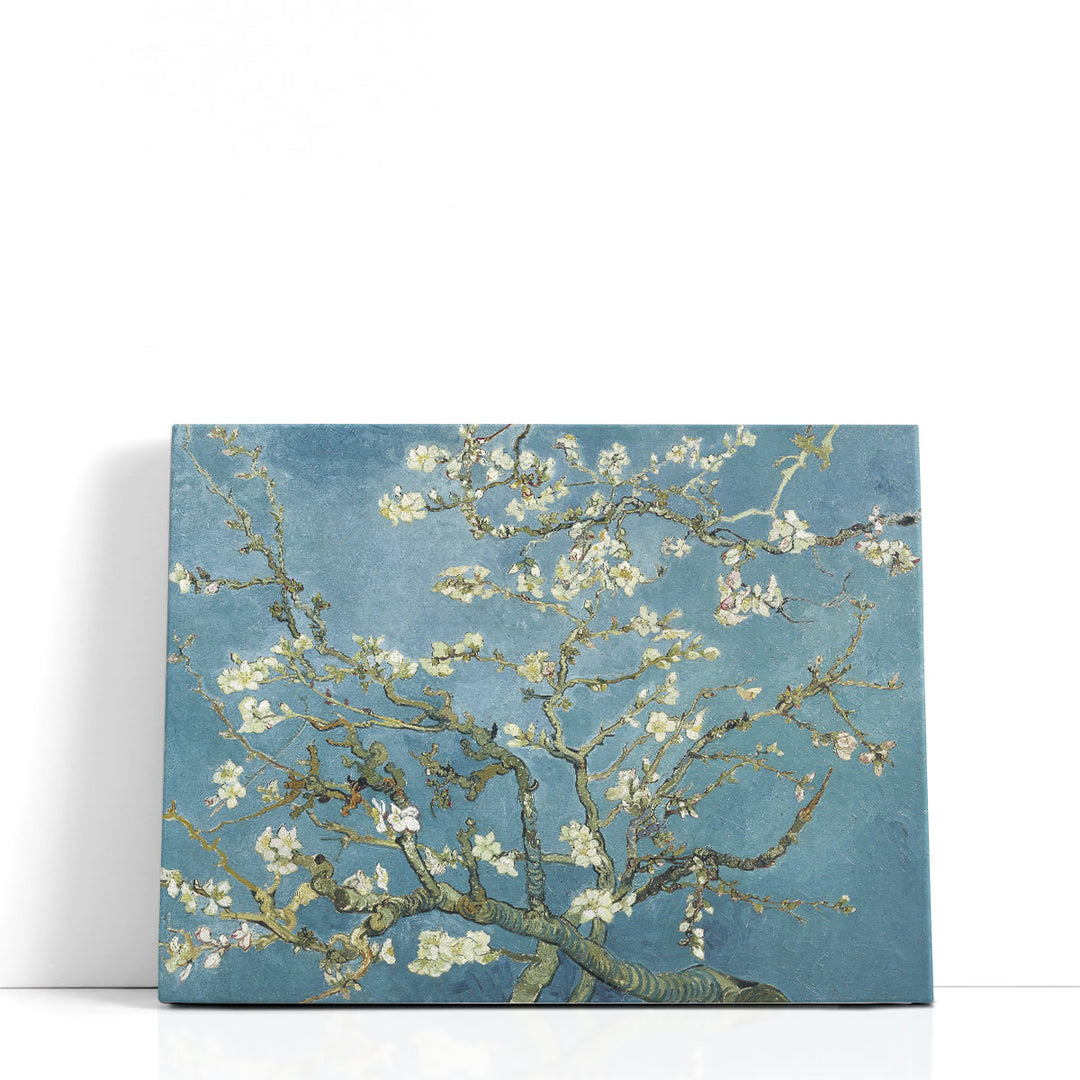 Almond Blossom, 1890 - Canvas Print Wall Art