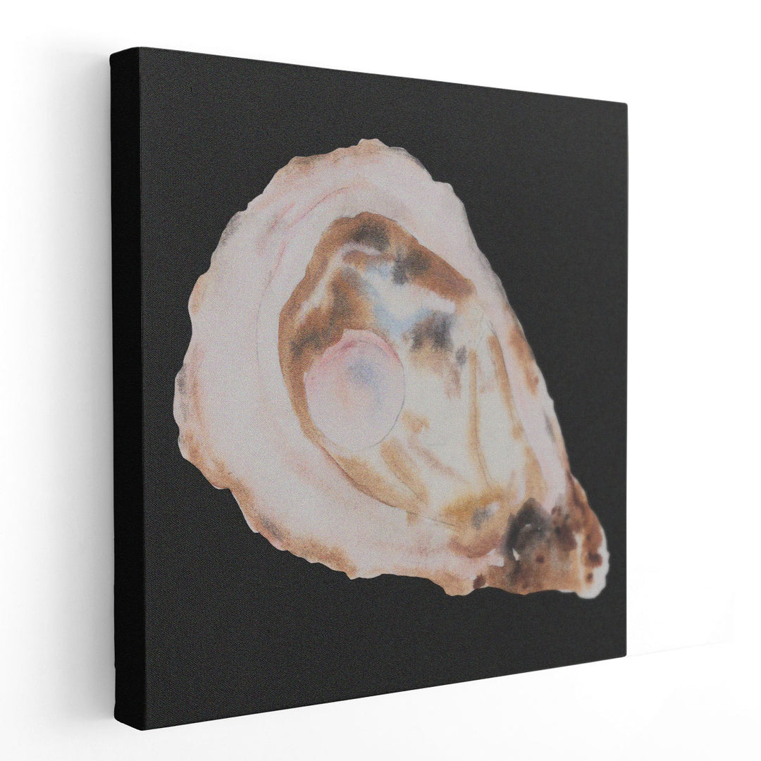 Oyster And Pearl I - Canvas Print Wall Art