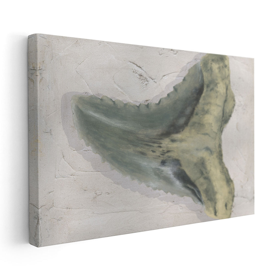 Watercolor Sharks Tooth IV - Canvas Print Wall Art