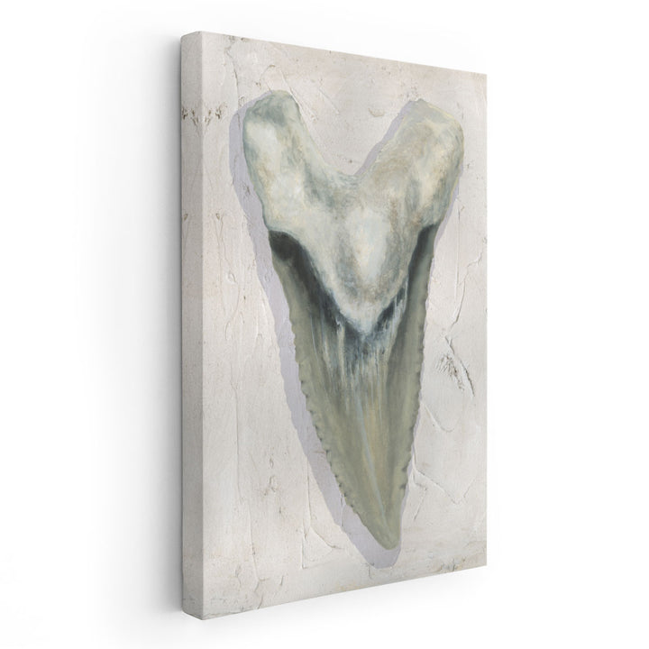 Watercolor Sharks Tooth II - Canvas Print Wall Art