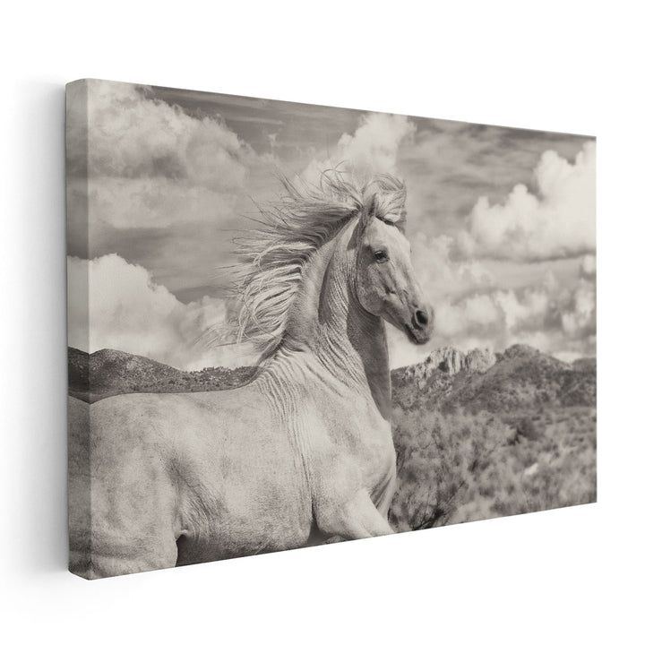 Free to Run - Canvas Print Wall Art