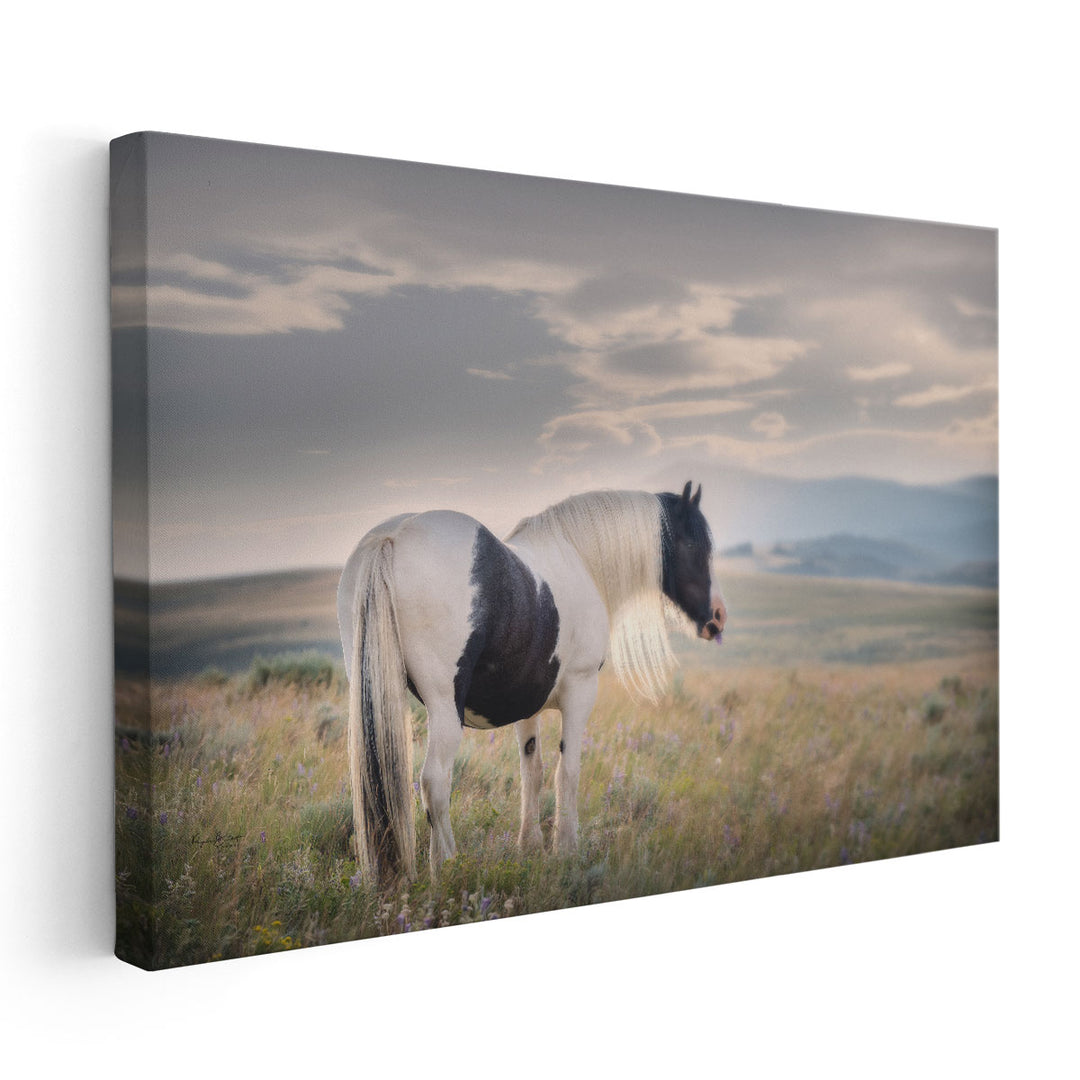 Gypsy Beauty - Canvas Print Wall Art