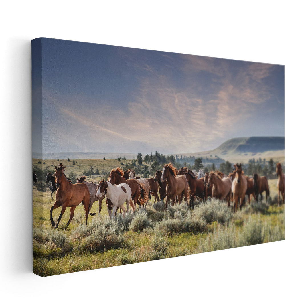 Montana Ranch Horses - Canvas Print Wall Art