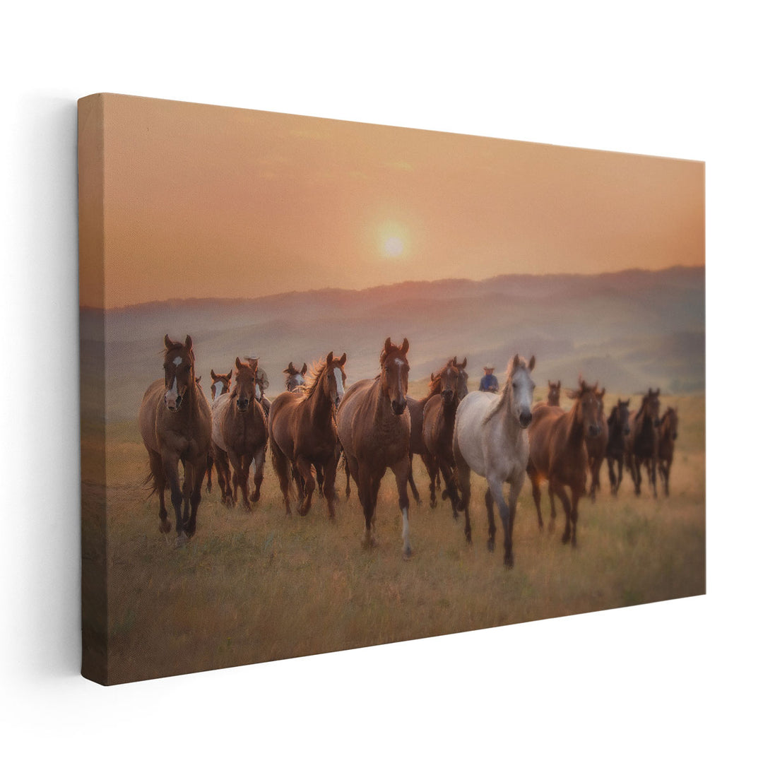 Morning Jingle - Canvas Print Wall Art