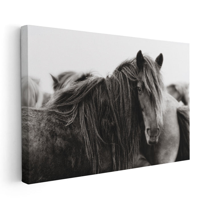 Stand Alone - Canvas Print Wall Art