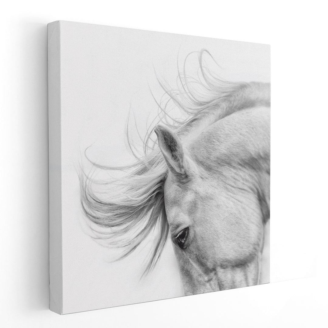 Flair - Canvas Print Wall Art