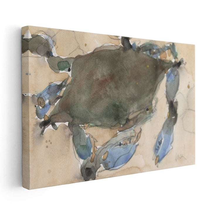 The Maryland Crab I - Canvas Print Wall Art