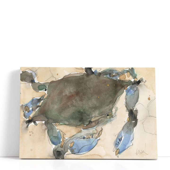 The Maryland Crab I - Canvas Print Wall Art