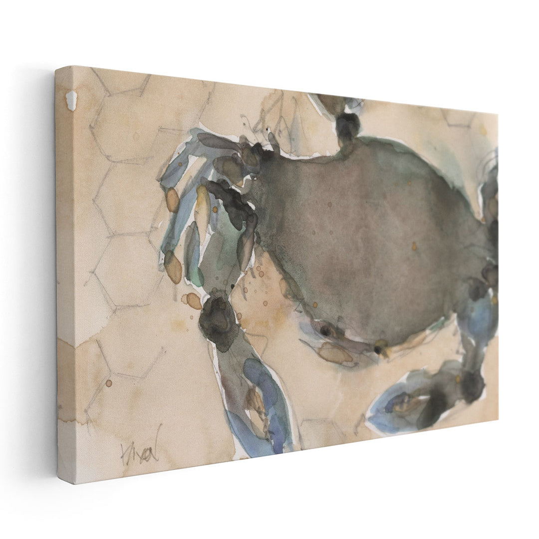 The Maryland Crab II - Canvas Print Wall Art