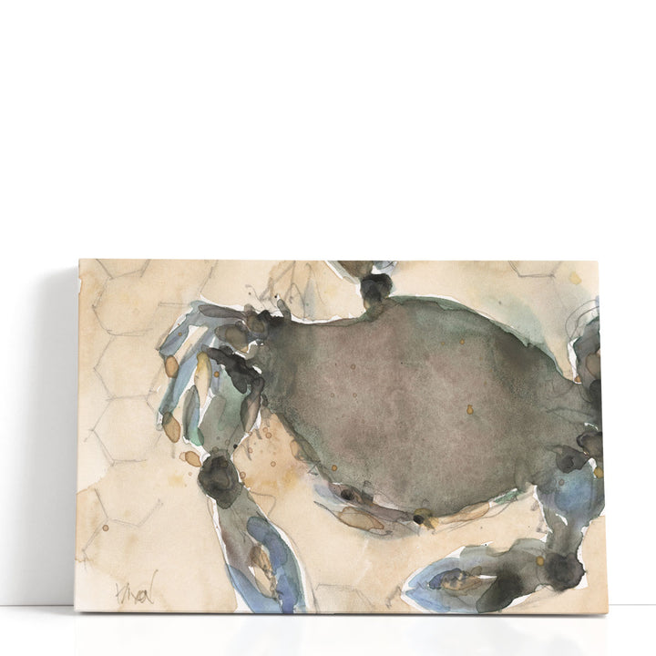 The Maryland Crab II - Canvas Print Wall Art