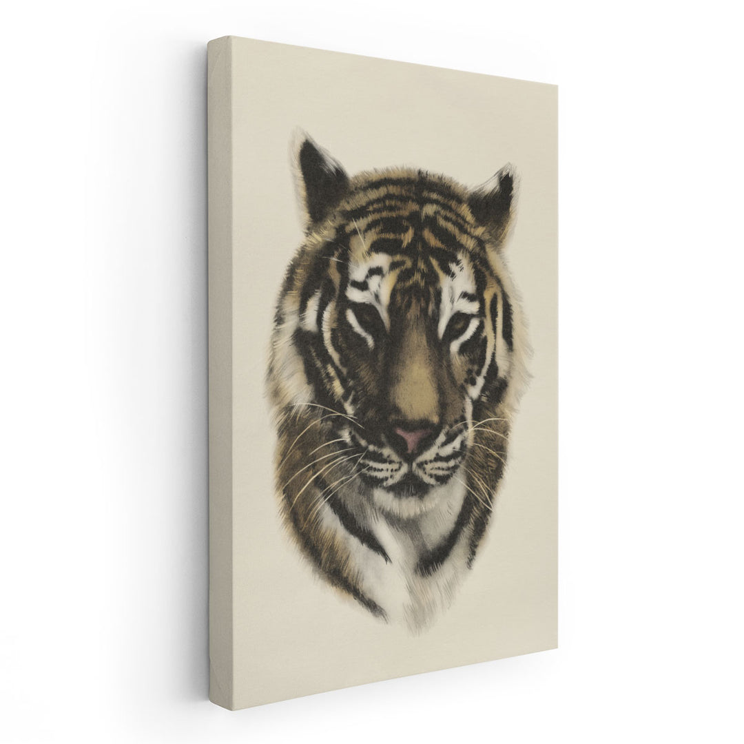 Antique Tiger Portrait I - Canvas Print Wall Art