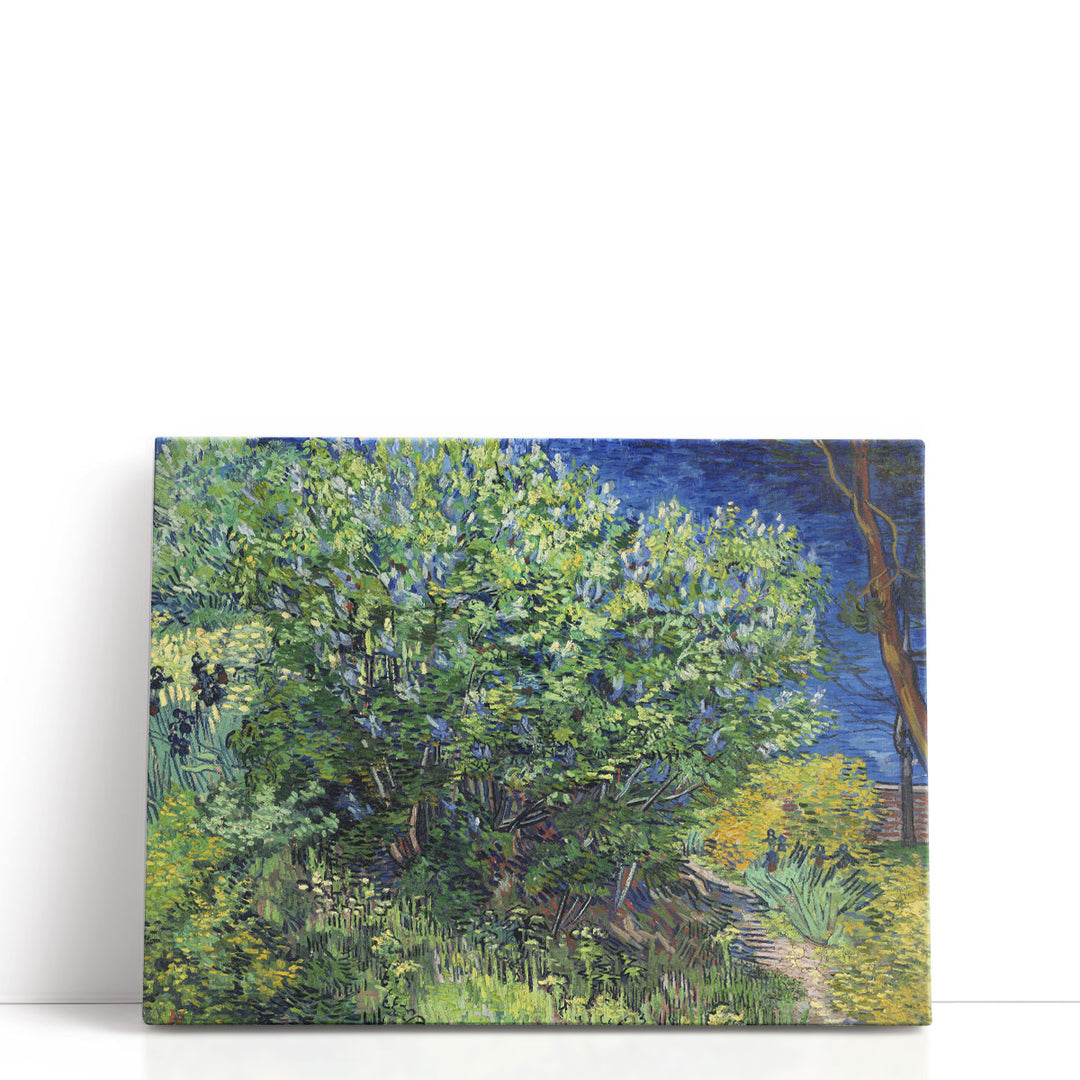 Lilac Bush, 1889 - Canvas Print Wall Art