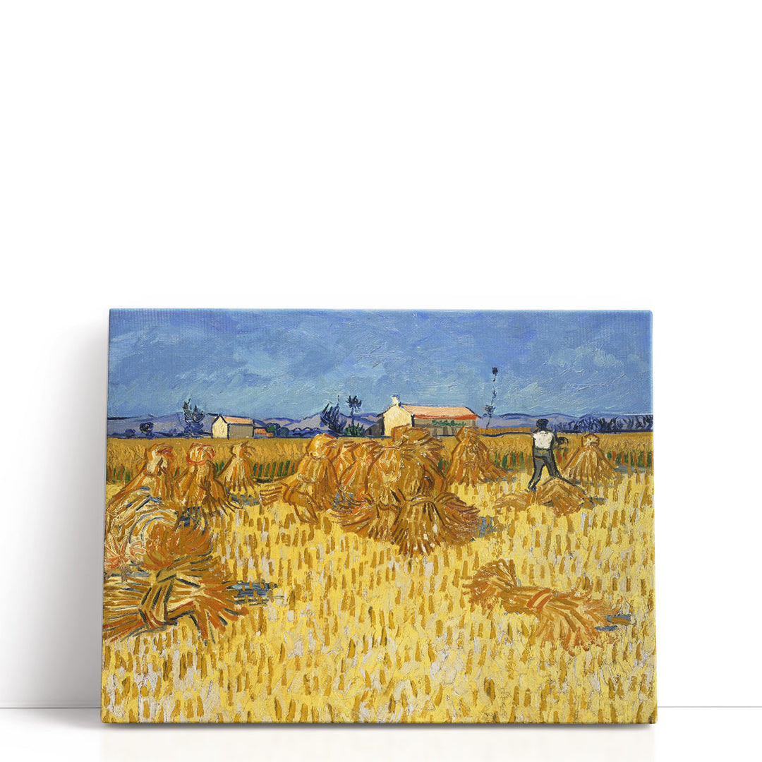 Harvest in Provence, 1888 - Canvas Print Wall Art