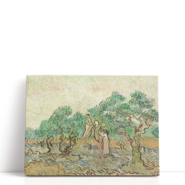 The Olive Orchard, 1889 - Canvas Print Wall Art