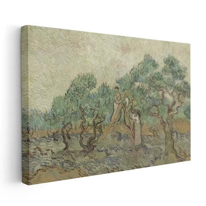The Olive Orchard, 1889 - Canvas Print Wall Art