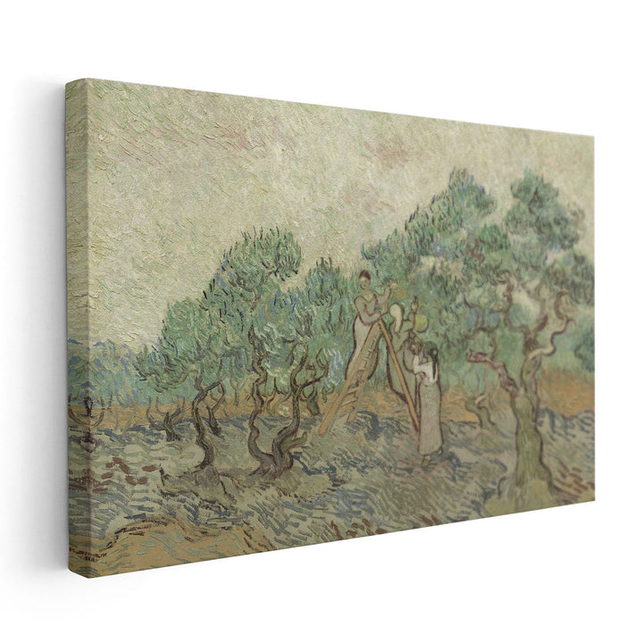 The Olive Orchard, 1889 - Canvas Print Wall Art