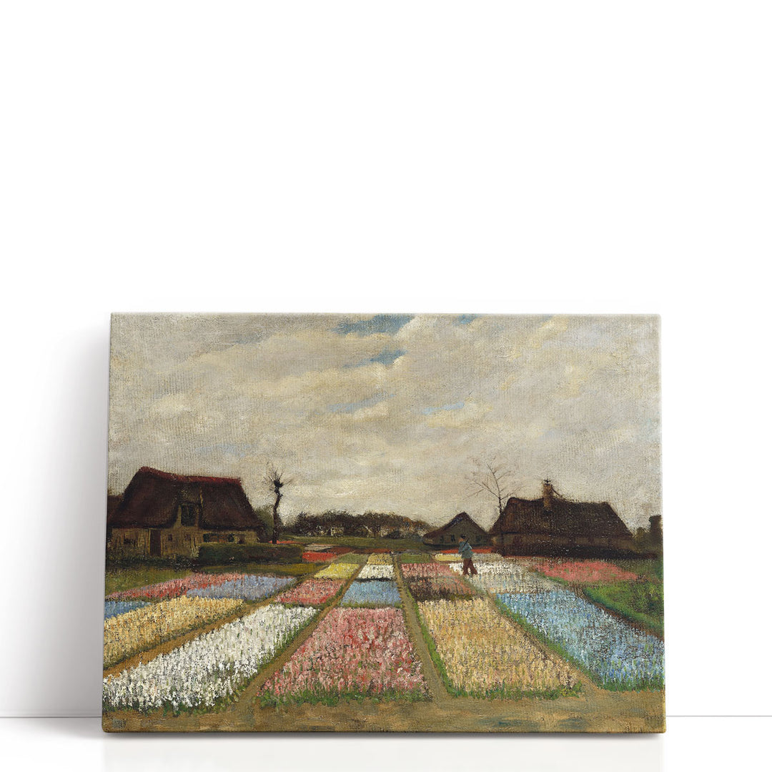 Flower Beds in Holland, 1883 - Canvas Print Wall Art