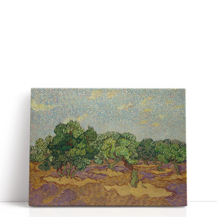 Olive tree prints with soft green and brown tones