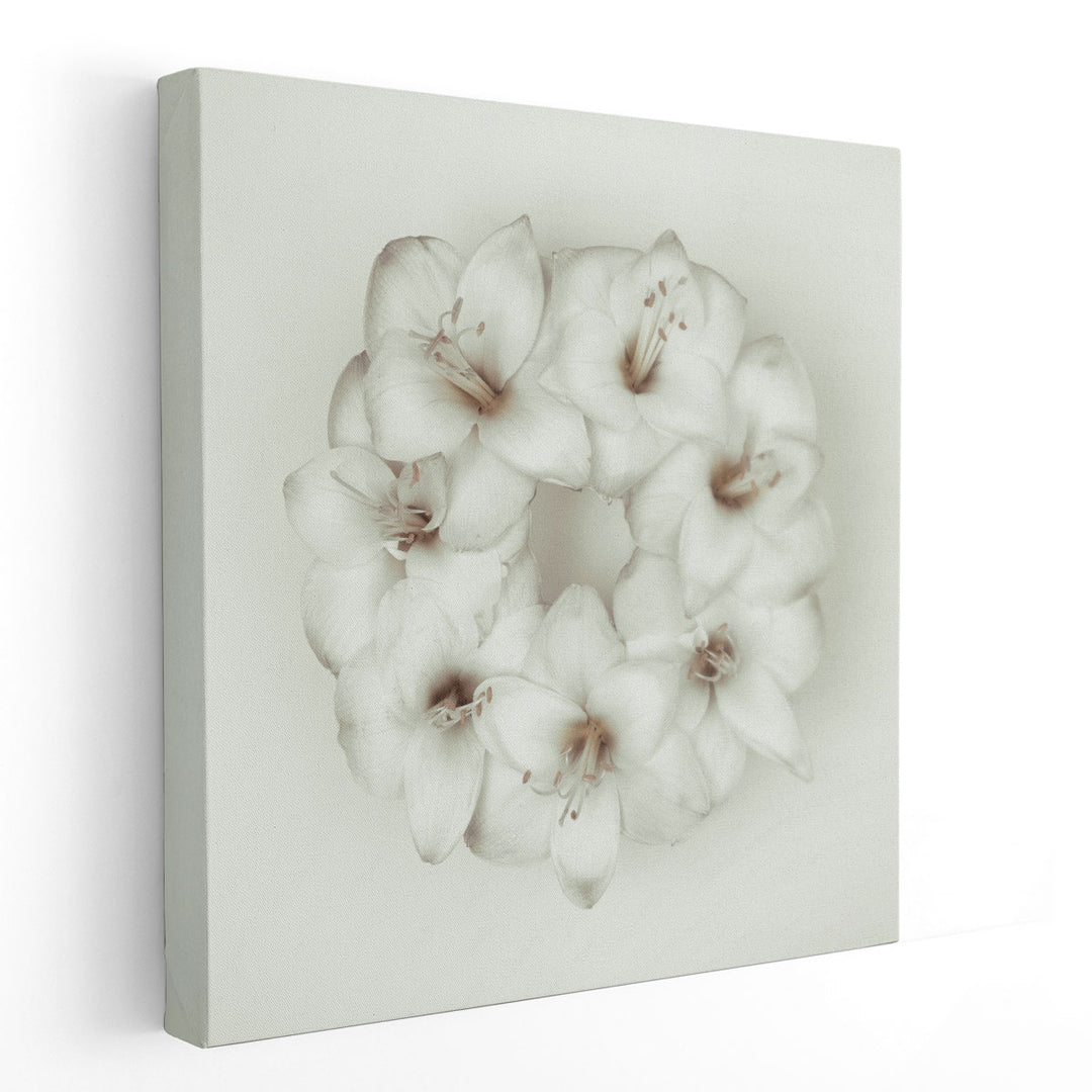 Amaryllis Flower Wreath 1 - Canvas Print Wall Art