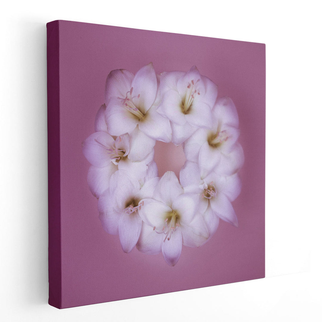 Amaryllis Flower Wreath 2 - Canvas Print Wall Art